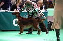 Crufts2011 510